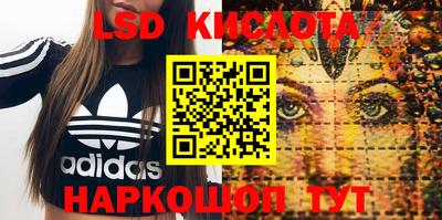 гидра Будённовск