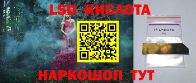 гидра Будённовск