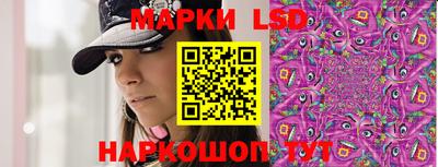 гидра Будённовск