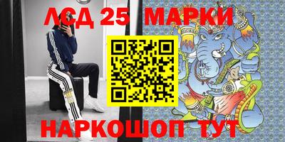 гидра Будённовск