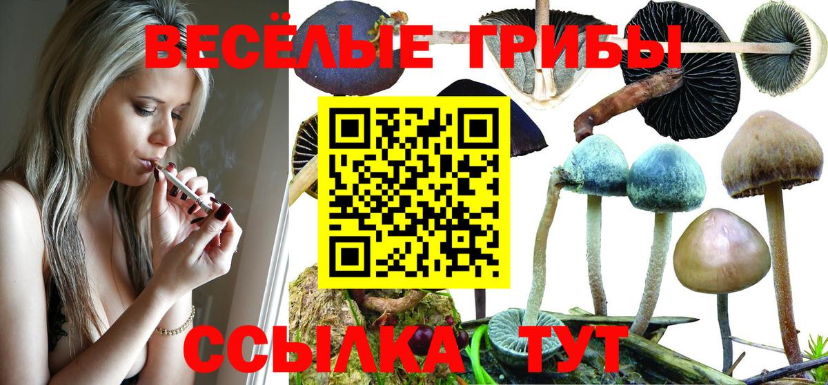 Галлюциногенные грибы Cubensis Красноярск