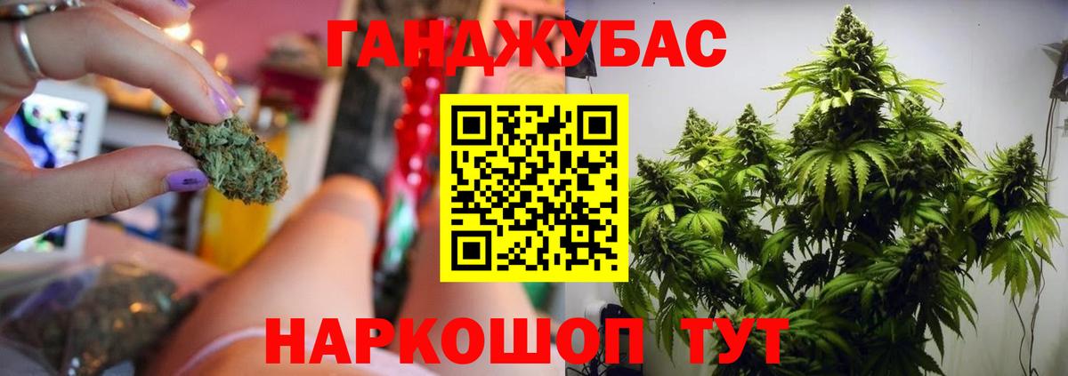 Конопля семена  МАРИХУАНА Bruce Banner  Красноярск  Шишки марихуана OG Kush  Вход с VPN 